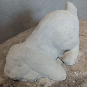 Small Head Down Rabbit