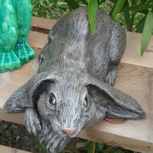 Flat Ears Rabbit -Sid