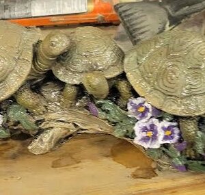 3 Turtles Sitting on Log