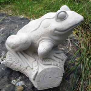 Frog on Log