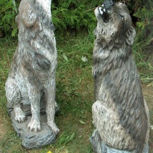 Howling Wolf Head Turned