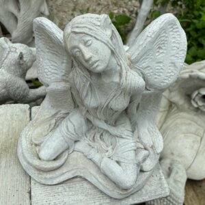 #7510 Fairy Sitting w Knee Down